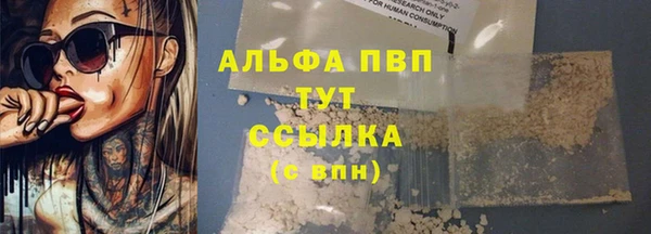 стаф Арсеньев