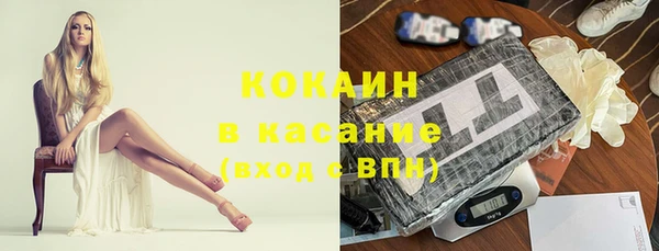 стаф Арсеньев