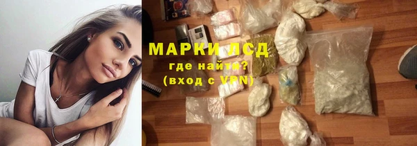стаф Арсеньев