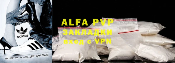 стаф Арсеньев