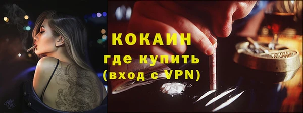 стаф Арсеньев