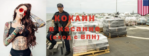 стаф Арсеньев