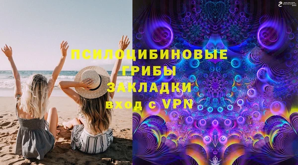 стаф Арсеньев