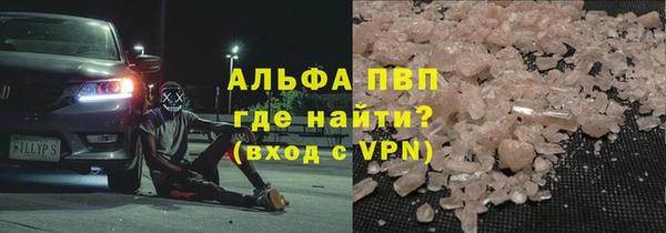 стаф Арсеньев