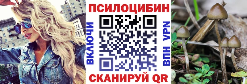 Галлюциногенные грибы MAGIC MUSHROOMS  где найти   Покровск 